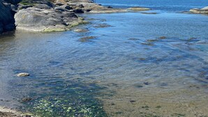 Costa rocosa con aguas cristalinas, un puente y aerogeneradores a lo lejos.