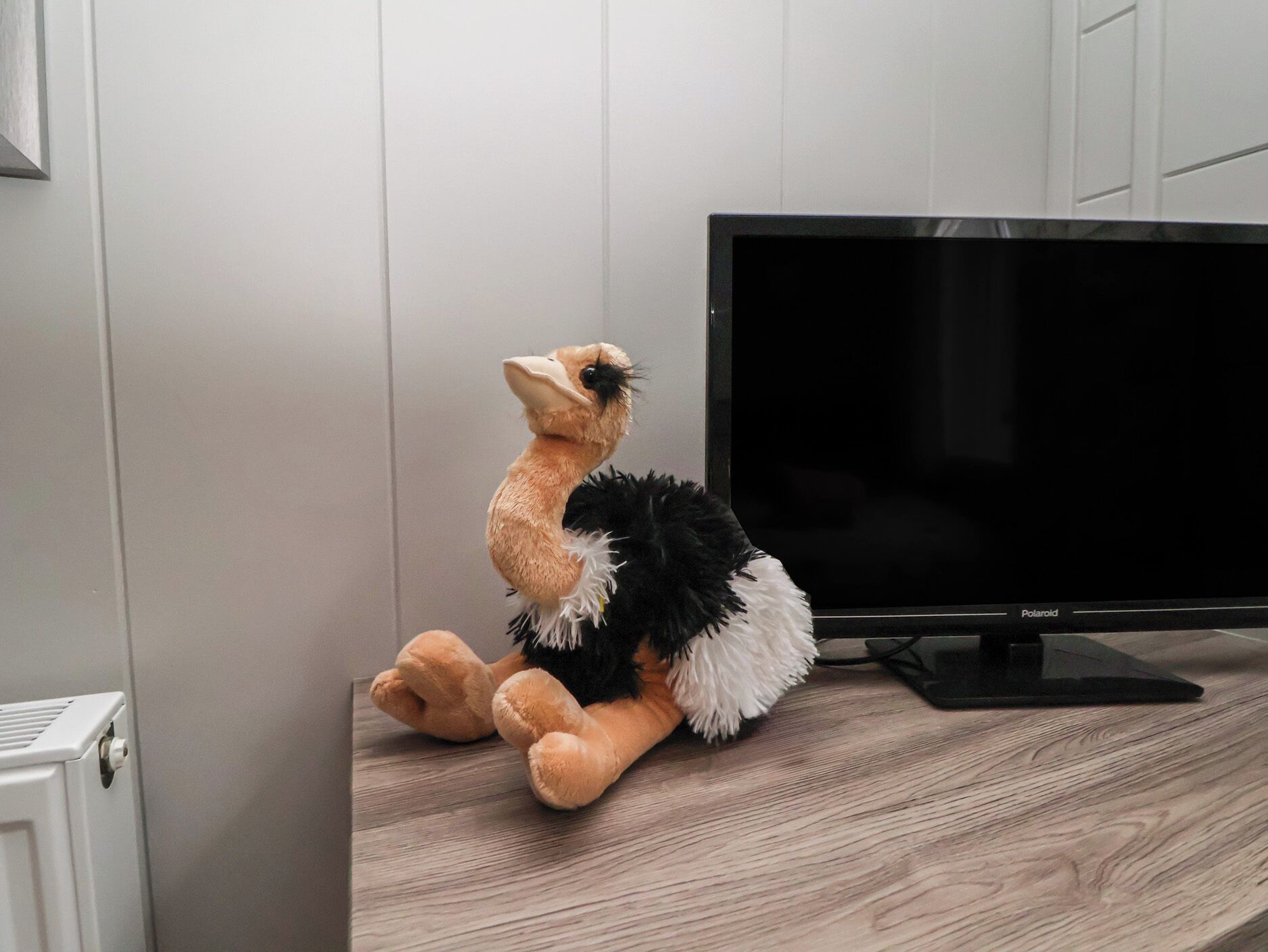 Ein Stofftier auf einer Holzfläche neben einem Fernseher.