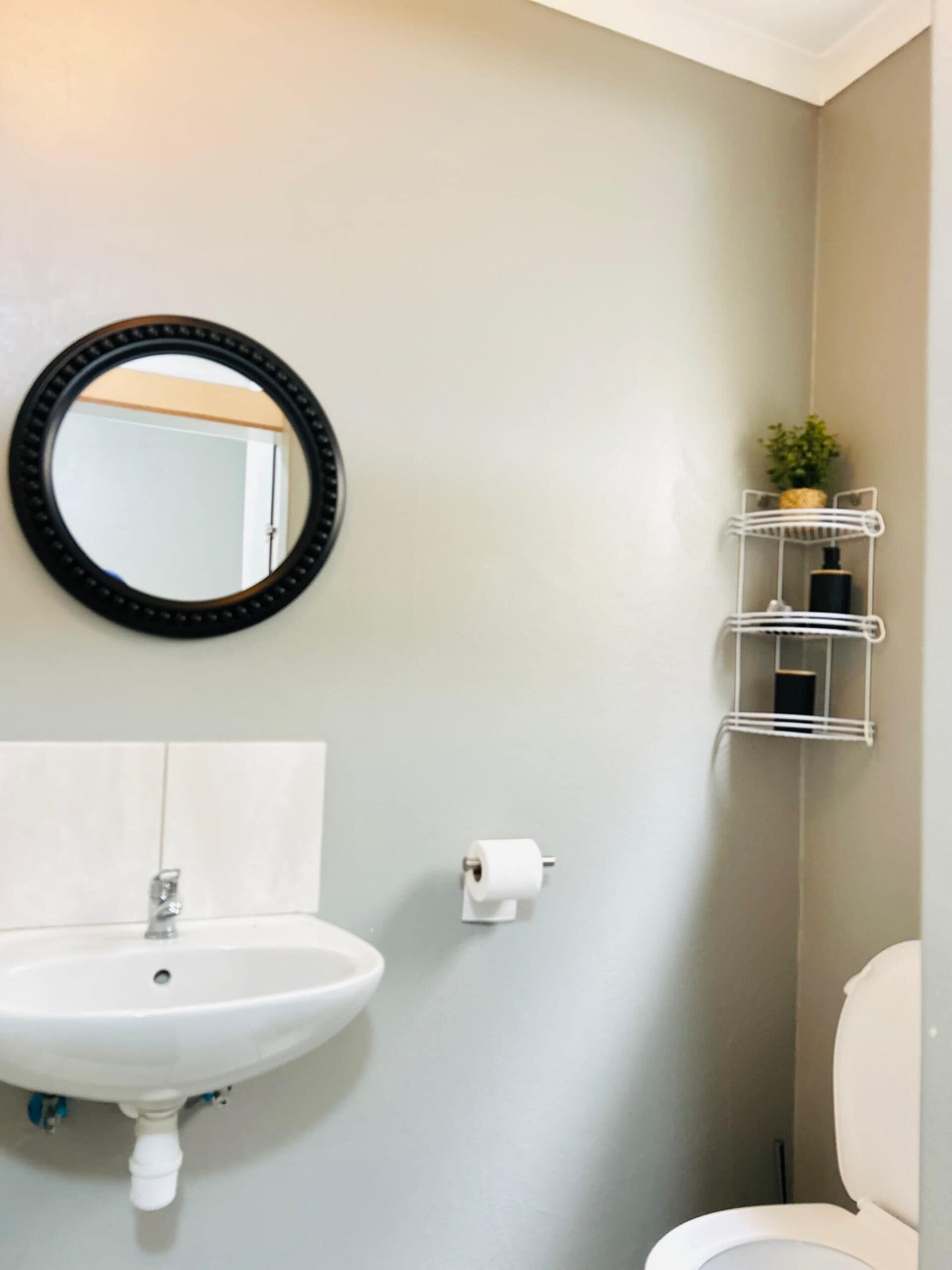 Une salle de bain avec un lavabo blanc, un miroir rond à cadre noir, des toilettes et un porte-serviettes blanc agrémenté d’une plante.