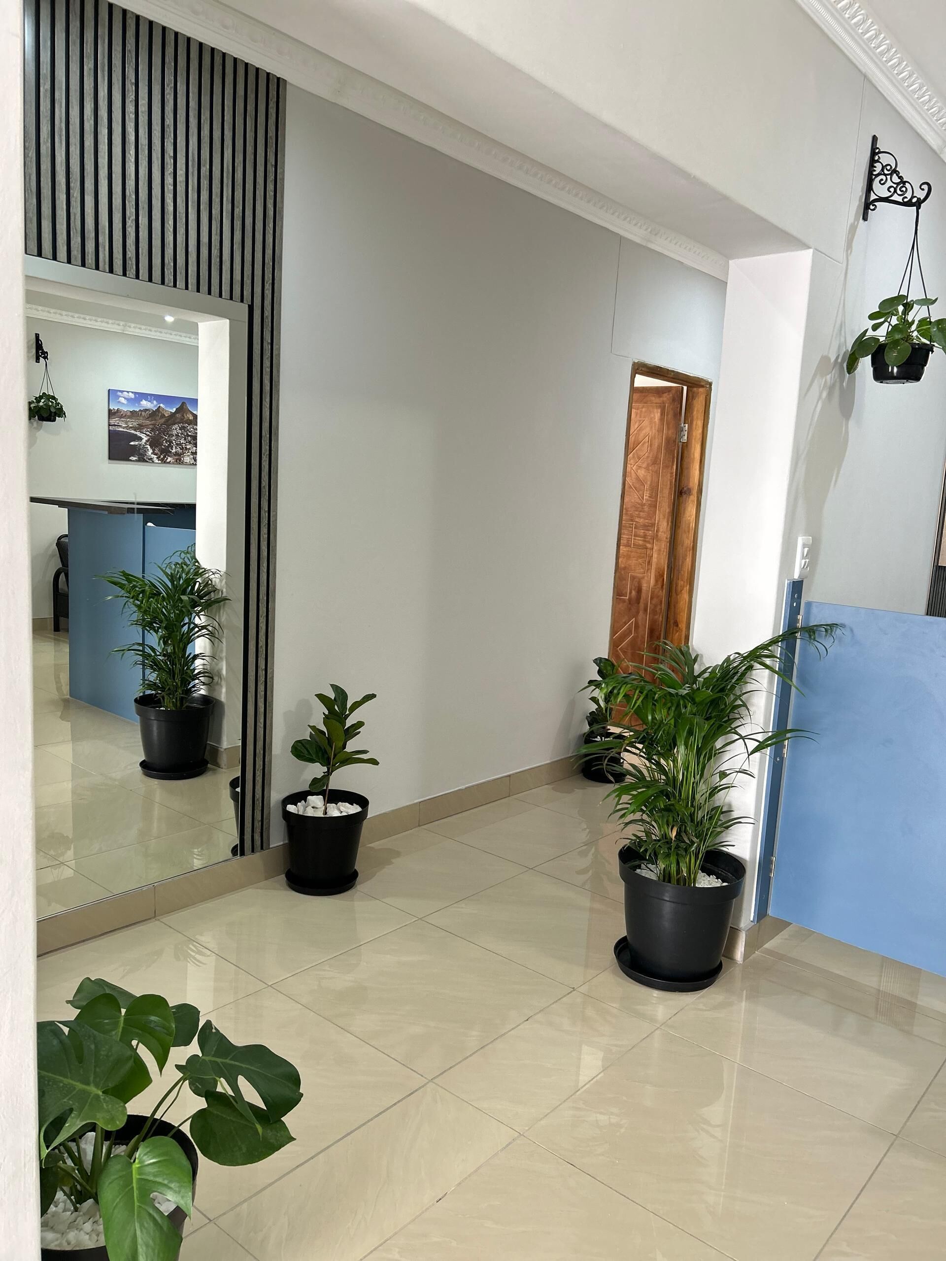 Un espace d’accueil moderne agrémenté d’un grand miroir, de plantes en pot, d’une porte en bois et d’une cloison bleue.