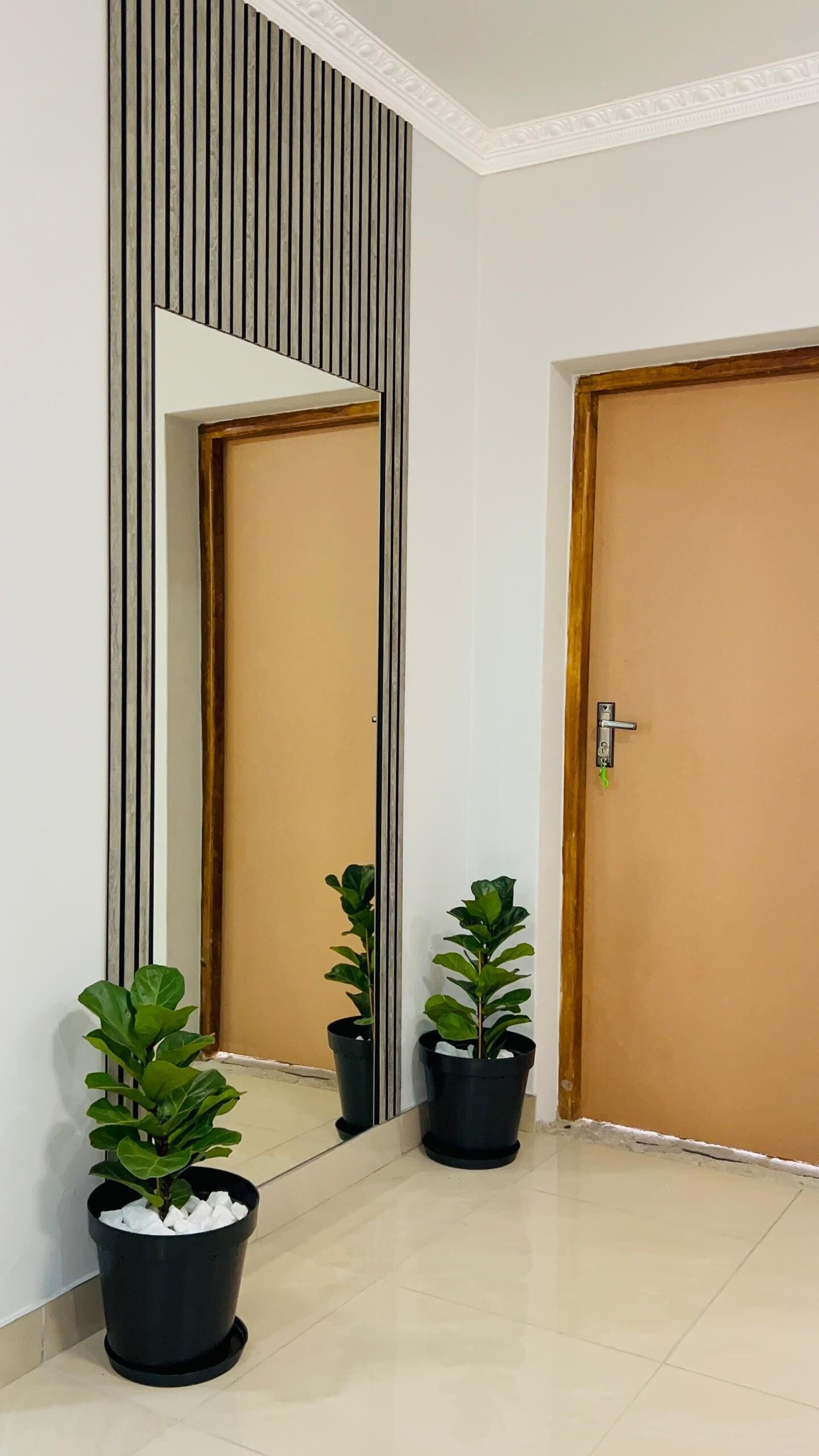 Een gang met twee deuren, een verticale spiegel en twee potplanten.
