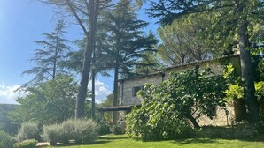 Ein Steinhaus mit rustikalem Äußeren, umgeben von üppiger Vegetation und hohen Bäumen.