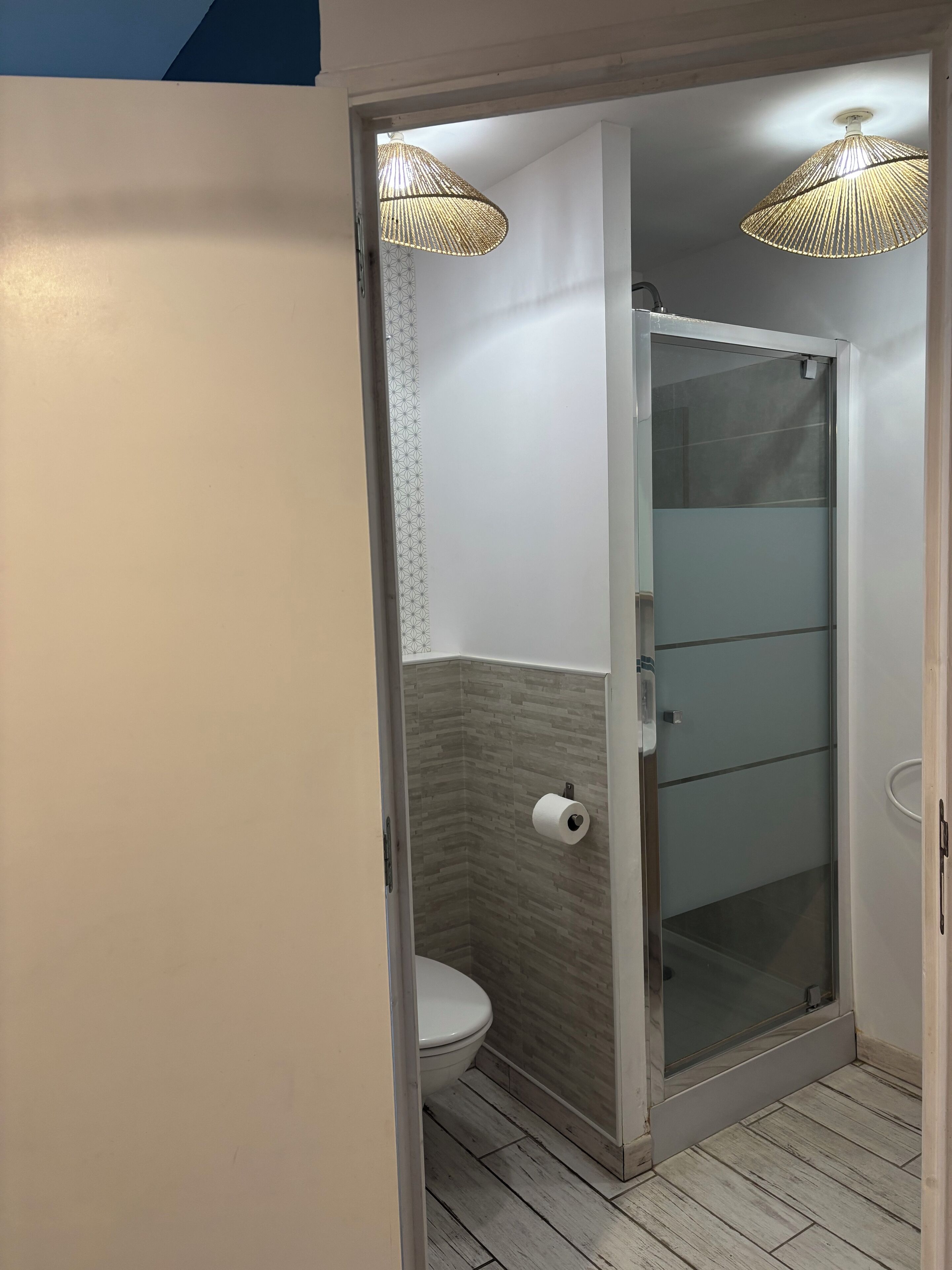 Shower, hair dryer, towels, toilet paper