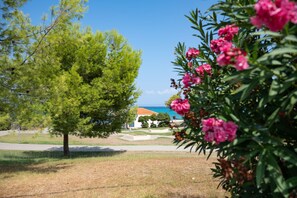 Property grounds - Private pool, sea views, and an idyllic Halkidiki setting (Hanioti)
