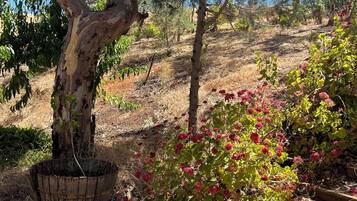 Parco della struttura