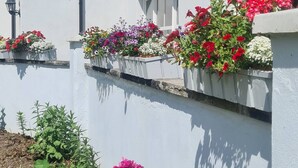 A white building with flower boxes on the wall and a garden with pink flowers in front. - Aine Guest House Clonlara (Ruanard)