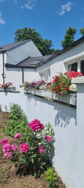 Exterior detail - Aine Guest House Clonlara (Ruanard)