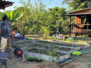 客房, 1 間臥室, 吸煙房 | 住宿一隅