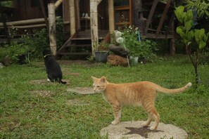 Habitación, 1 habitación, fumadores | Jardín