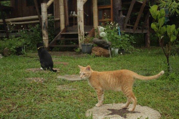 Room, 1 Bedroom, Smoking | Garden - Room-boutique Cabin · Peaceful Mountain (Chiang Dao)