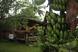 Room, 1 Bedroom, Smoking | Property grounds - Room-boutique Cabin · Peaceful Mountain (Chiang Dao)