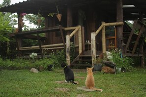 Chambre, 1 chambre, fumeurs | Jardin