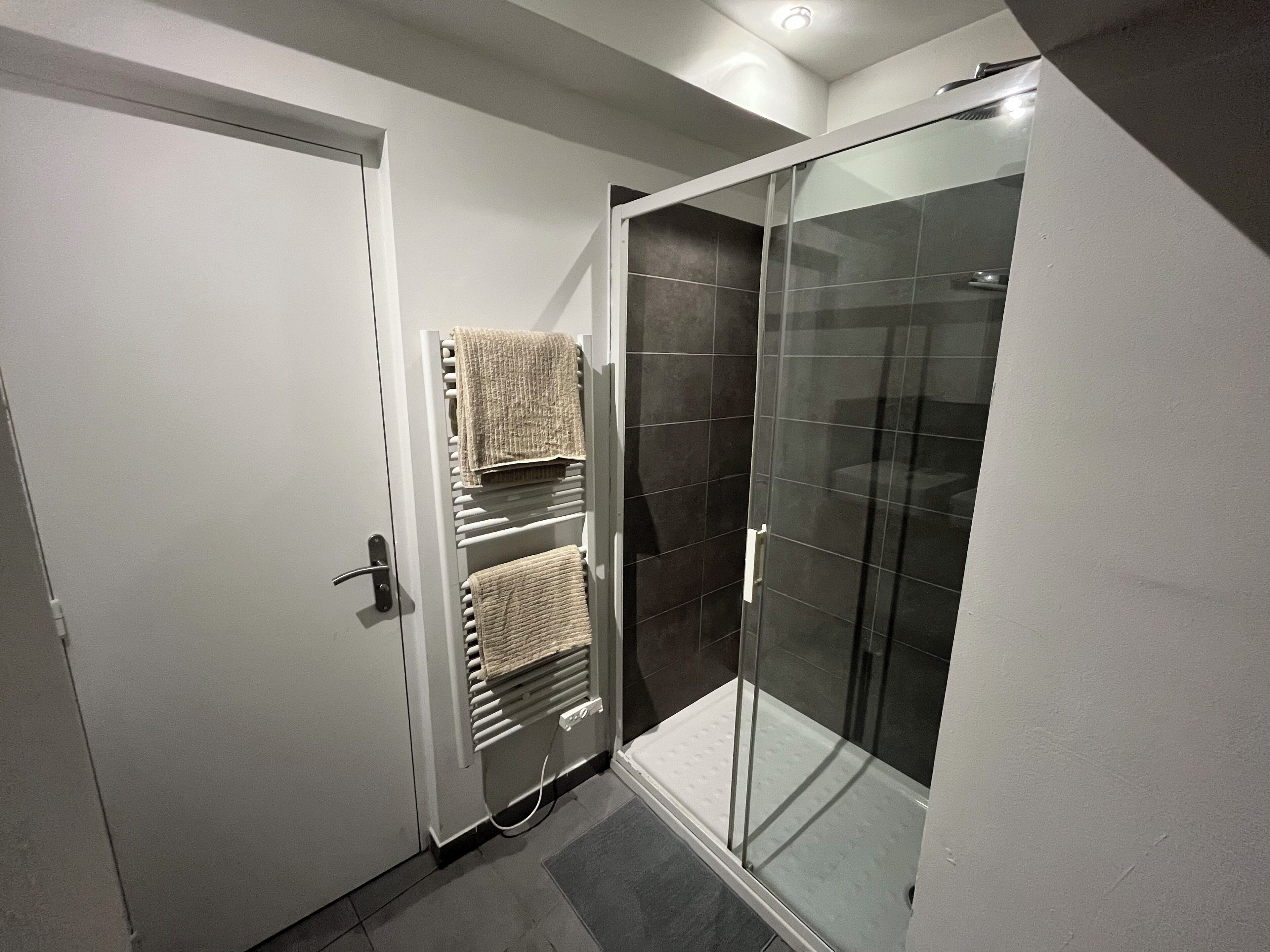 Shower, towels, toilet paper
