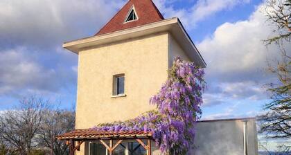 đż Pigeonnier rĂ©novĂ© avec SPA & vue PyrĂ©nĂ©es - Animaux de compagnie acceptĂ©s