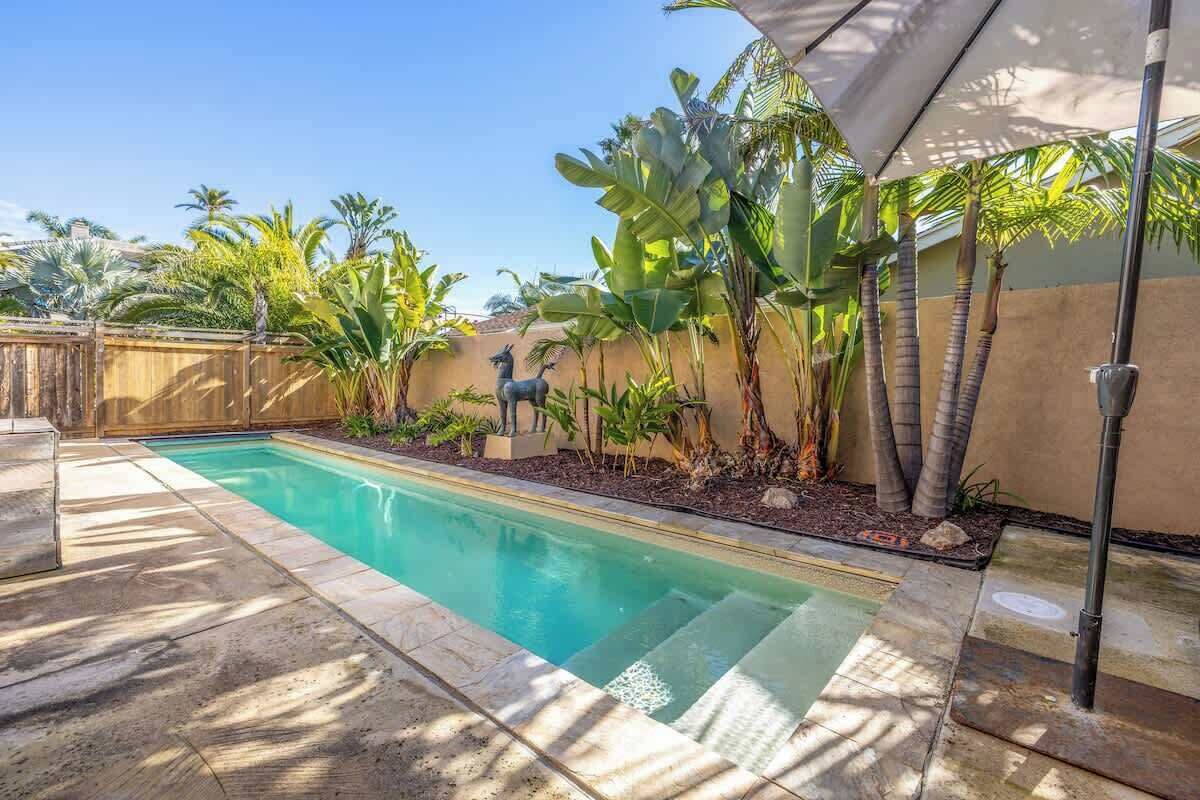 A swimming pool with a wooden fence, palm trees, and a statue.