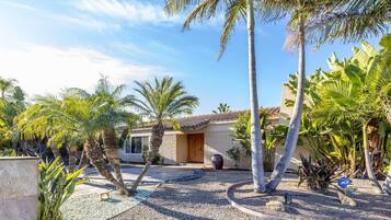 A house with a tiled roof, surrounded by palm trees and a gravel driveway.
