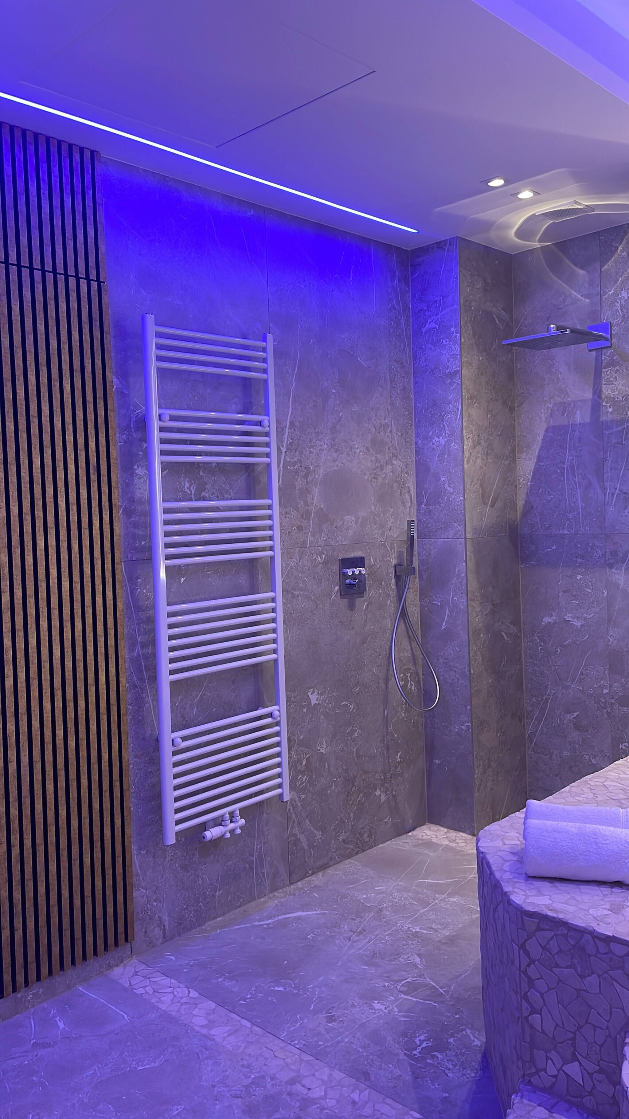Studio, 1 Bedroom, Accessible, Smoking | Bathroom | Toilet paper