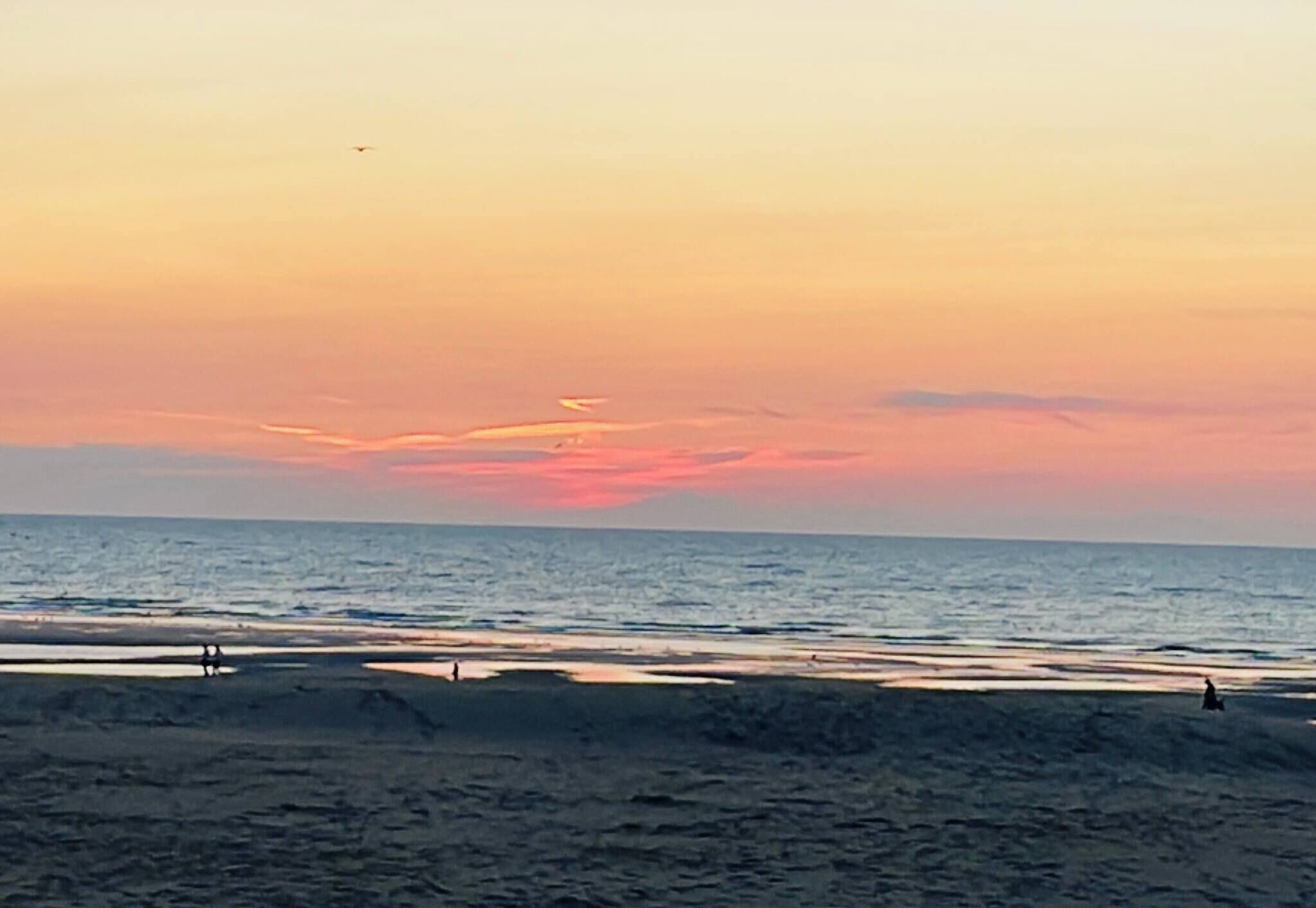 開放式客房, 1 間臥室, 無障礙, 吸煙房 | 海灘