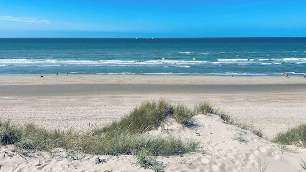 Studio, 1 slaapkamer, toegankelijk voor mindervaliden, roken | Strand