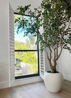 Une pièce avec une grande fenêtre, un arbre en pot et un mur blanc.