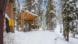 Uklassifisert bilde, 4 av 25, knapp