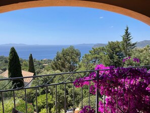 Property grounds - Splendid villa 250m2, sea view, swimming pool. (Rayol-Canadel-sur-Mer)