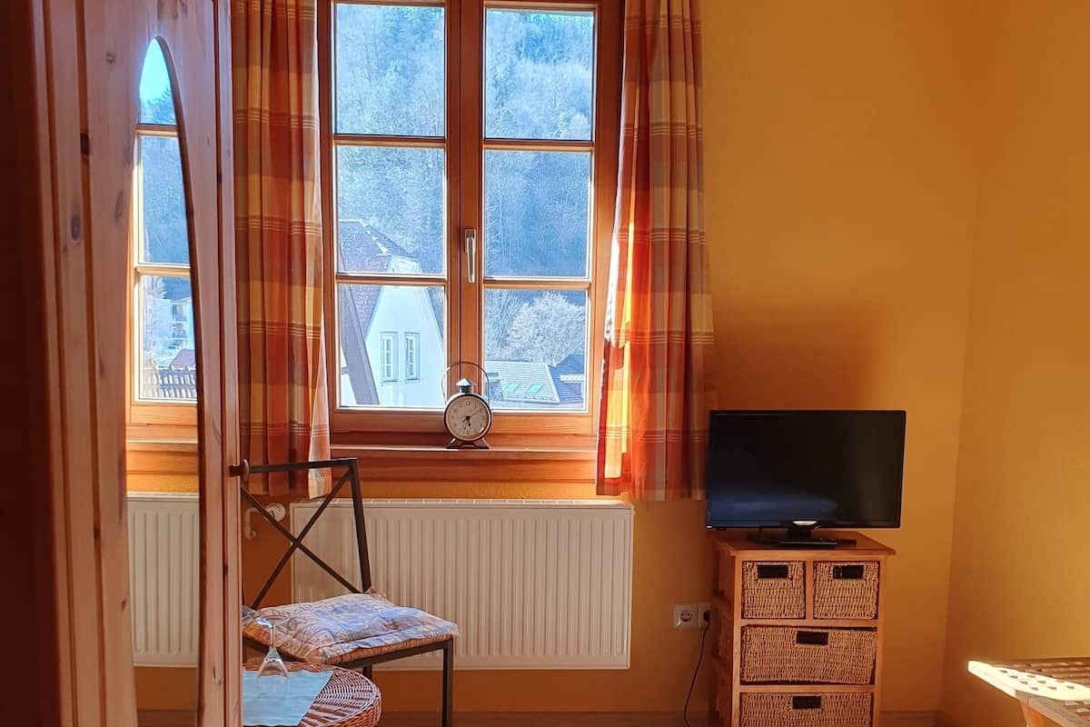 A bedroom with a wooden bed, a television on a wooden cabinet, a wicker chair, a window with curtains, and a radiator.