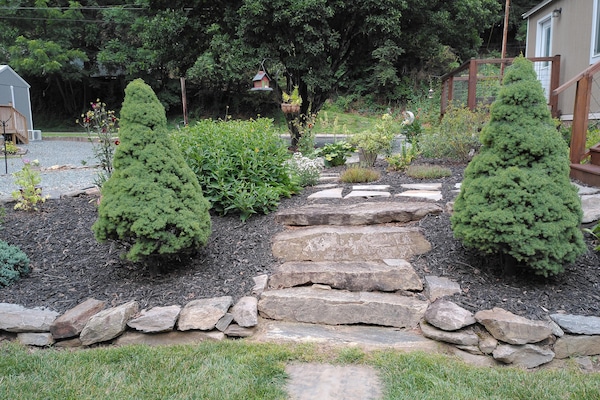 Jardines del alojamiento