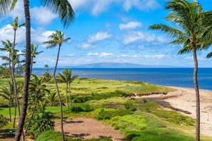 Un paysage tropical avec des palmiers, une plage et une vue sur l’océan.