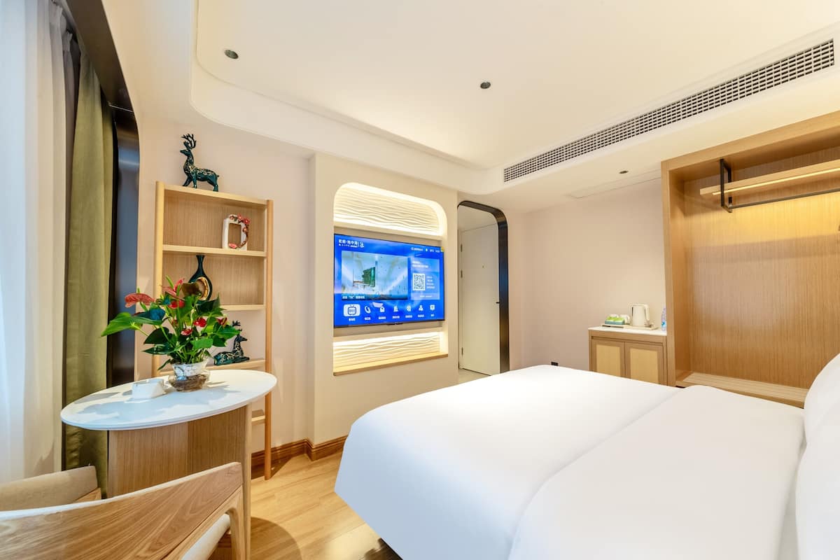 Una habitación de hotel moderna con una cama grande, un escritorio con una silla, una pequeña mesa con una planta, un televisor montado en la pared y un armario de madera.