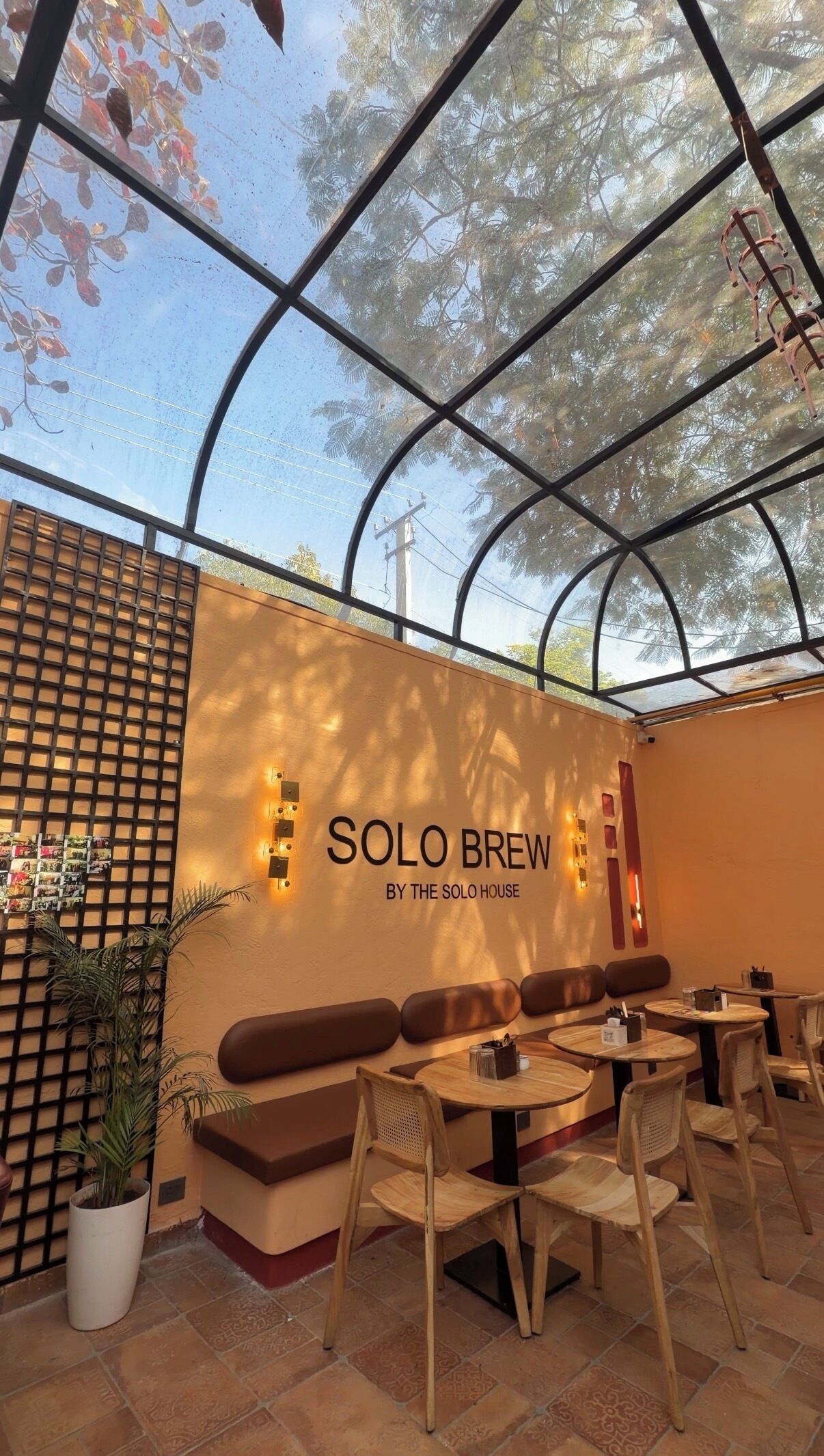 An indoor seating area with a glass ceiling, a wall with the text "SOLO BREW BY THE SOLO HOUSE", and a potted plant.