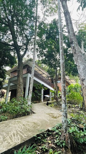 Room-fill Your Heart With Nature at Hous