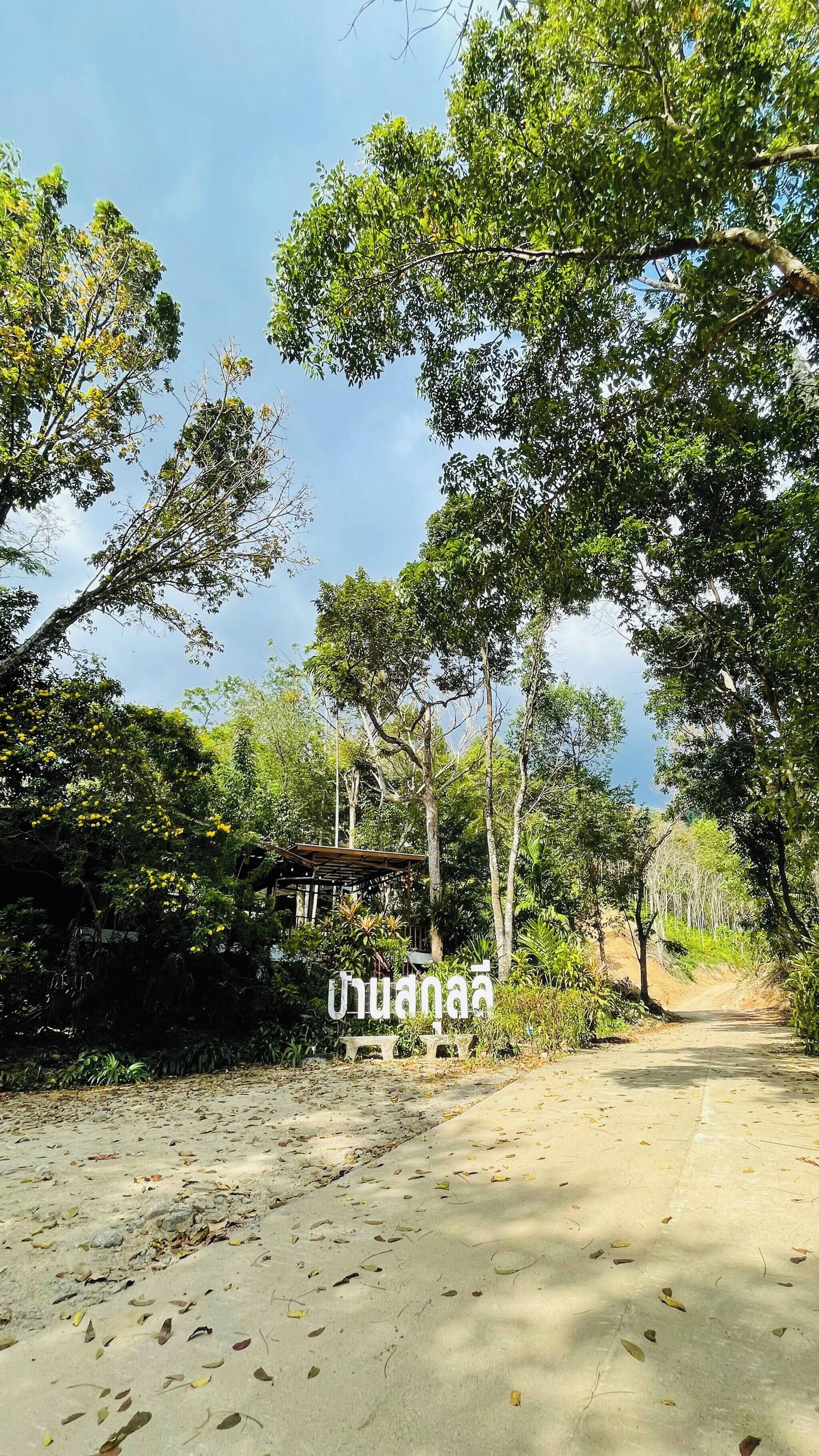 Chambre, 1 chambre, fumeur, terrasse | Divers