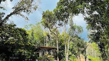 Chambre, 1 chambre, fumeur, terrasse | Divers