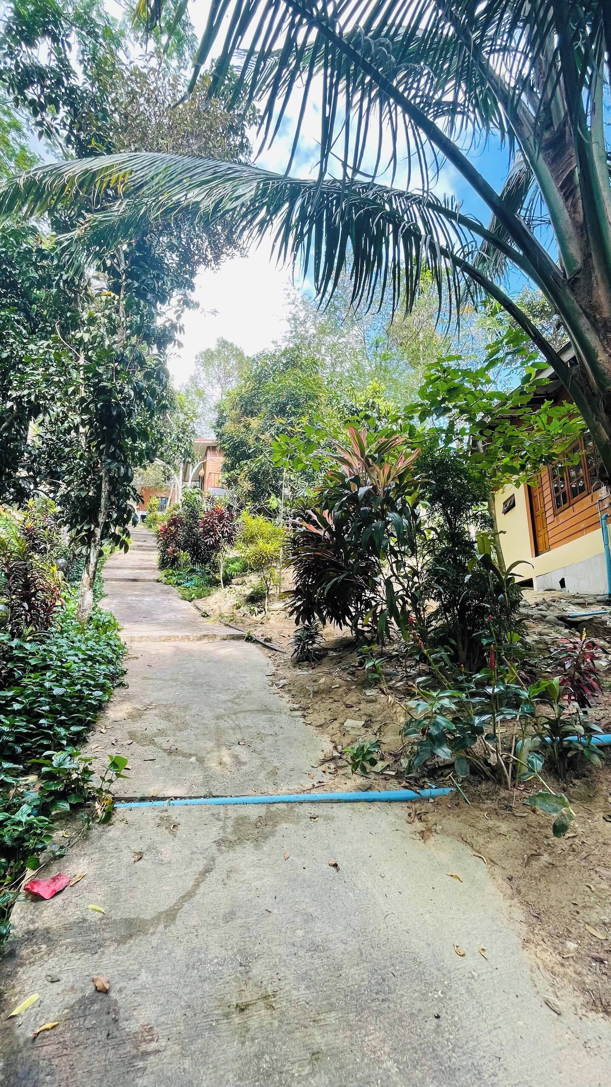 Zimmer, 1 Schlafzimmer, Raucher, Terrasse | Garten