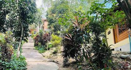Room-fill Your Heart With Nature at Hous