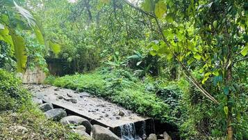 Kamar, 1 kamar tidur, Boleh Merokok, teras | Halaman properti