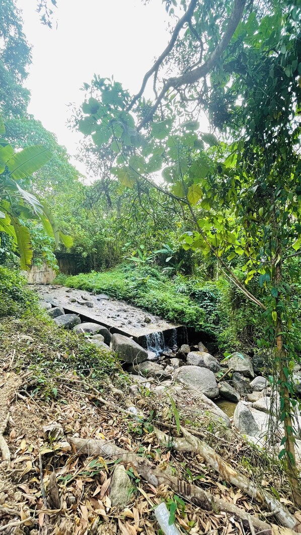 Room, 1 Bedroom, Smoking, Terrace | Property grounds - Room-fill Your Heart With Nature at Hous (Takua Thung)