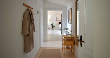 Renovated apartment with a view of the Rhine