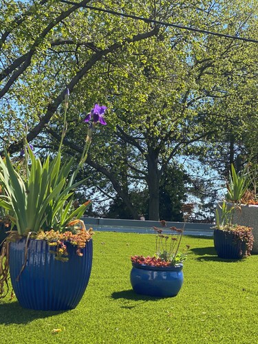 Comfort Apartment-self check in