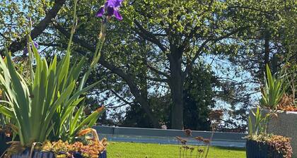 Comfort Apartment-self check in