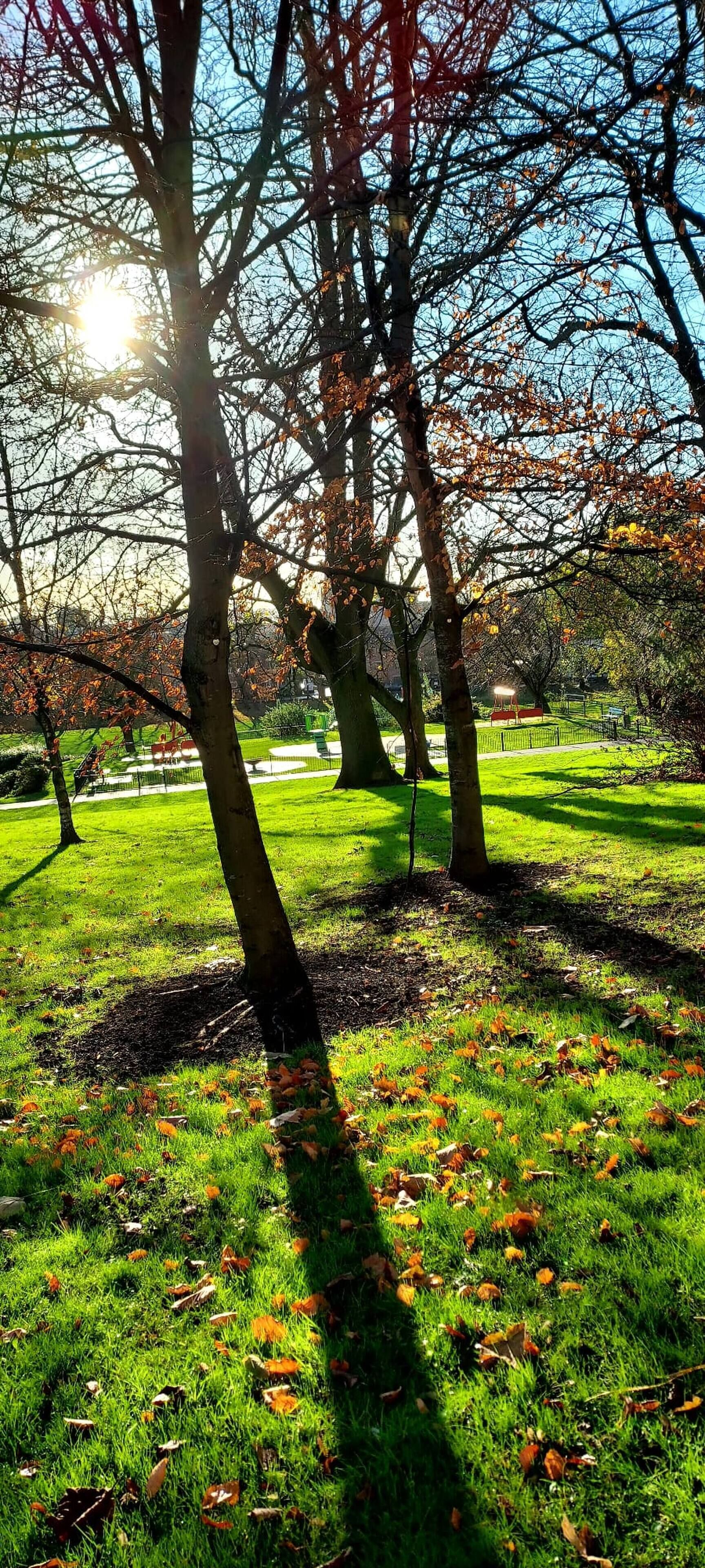 House, 3 Bedrooms | Property grounds