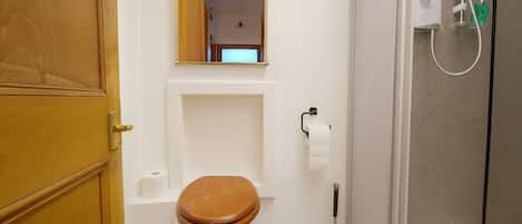 A bathroom with a wooden door, a toilet with a wooden seat, a mirror, a shower area with a handheld showerhead, and a toilet paper holder.