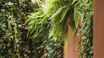 Deluxe-Doppelzimmer | Speisen im Freien