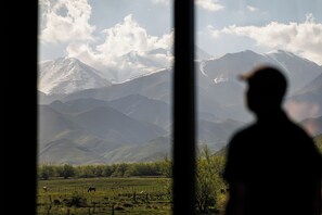 View from room - Om Ifinity Lodge  (Tupungato)