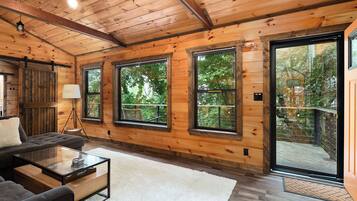 Smart TV, fireplace, video games, books