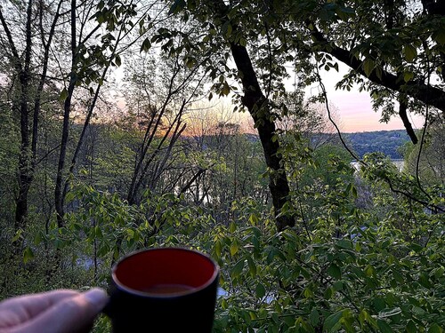 Sunrise Treehouse Lake Views - 5 min Walk/1 min Drive to Fish & Boat Ramp