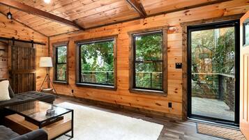 Smart TV, fireplace, video games, books