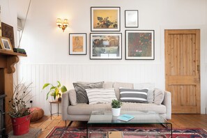 Smart TV, fireplace, DVD player, books