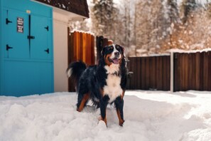 Terrain de l’hébergement 